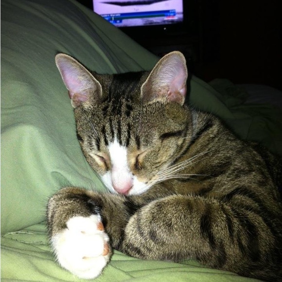 Meet your Posher, Kate - Picture 15 of 16